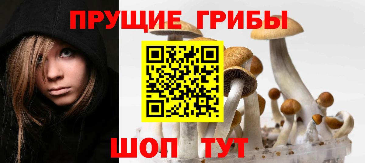 Боровичи  Галлюциногенные грибы Magic Shrooms  Вход с VPN 